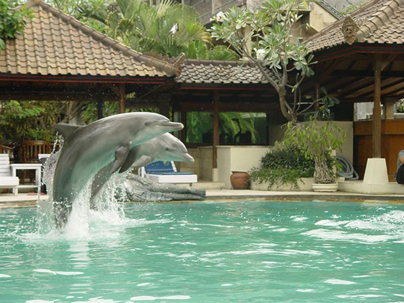 Oyo 2334 Melka Excelsior Hotel Singaraja Dış mekan fotoğraf