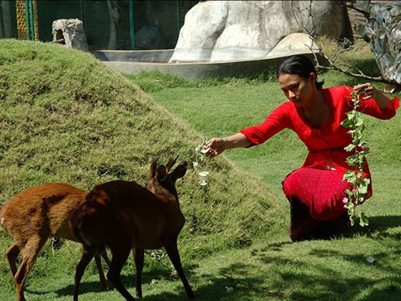 Oyo 2334 Melka Excelsior Hotel Singaraja Dış mekan fotoğraf