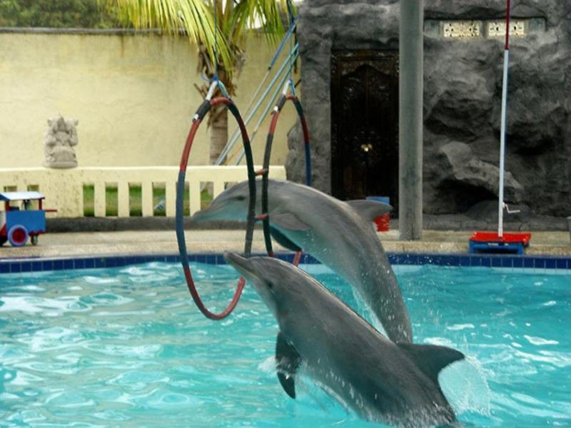 Oyo 2334 Melka Excelsior Hotel Singaraja Dış mekan fotoğraf